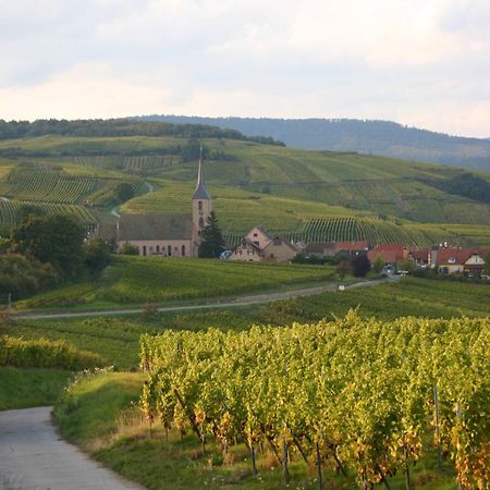 Hotel Winzenberg Blienschwiller Bagian luar foto